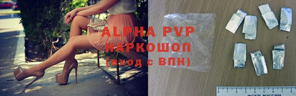 mdpv Горно-Алтайск