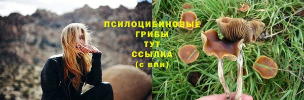 mdpv Горно-Алтайск